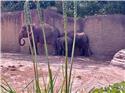 Veranstaltungsbild Familienfahrt in den Zoo "Wildlands" Emmen